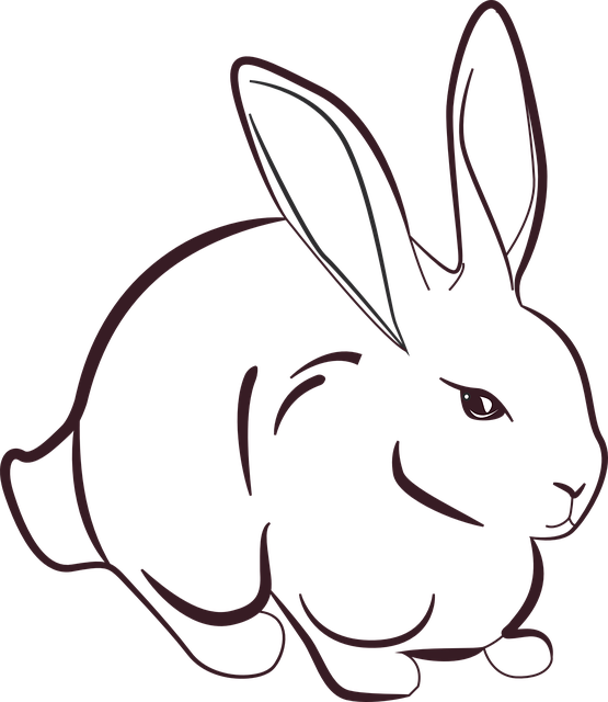 rabbit-1012595_640