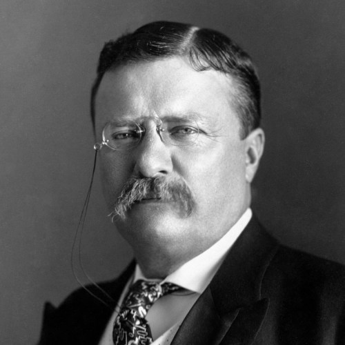 26_theodore_roosevelt